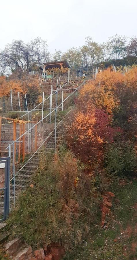 Apartament Weinberg 16 Elsenfeld Zewnętrze zdjęcie